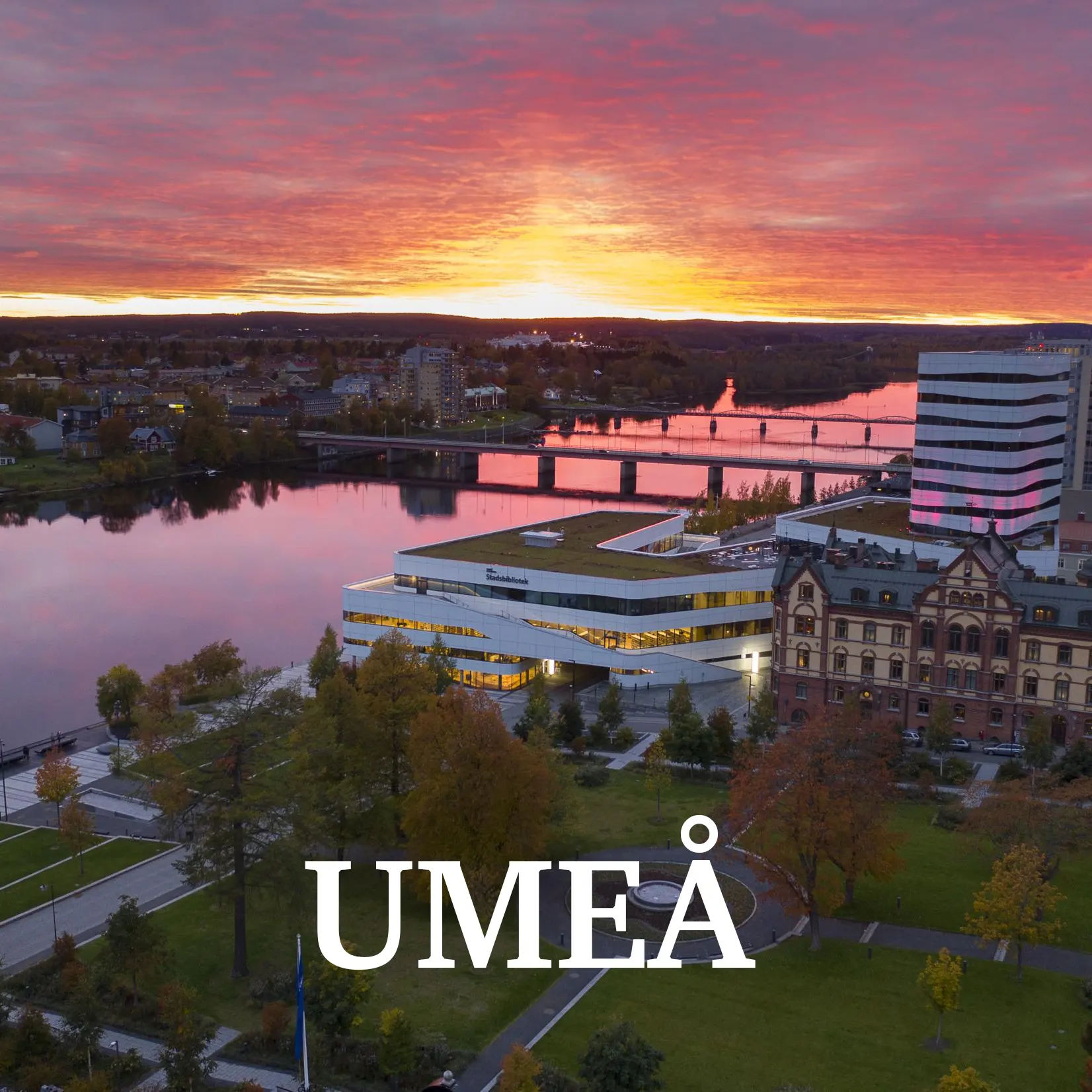 Rekryteringsföretag i Umeå