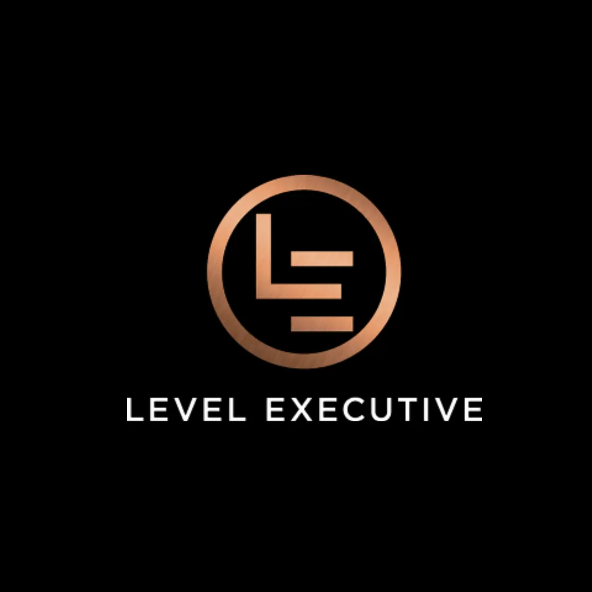 Rekryteringsföretag Level Executive