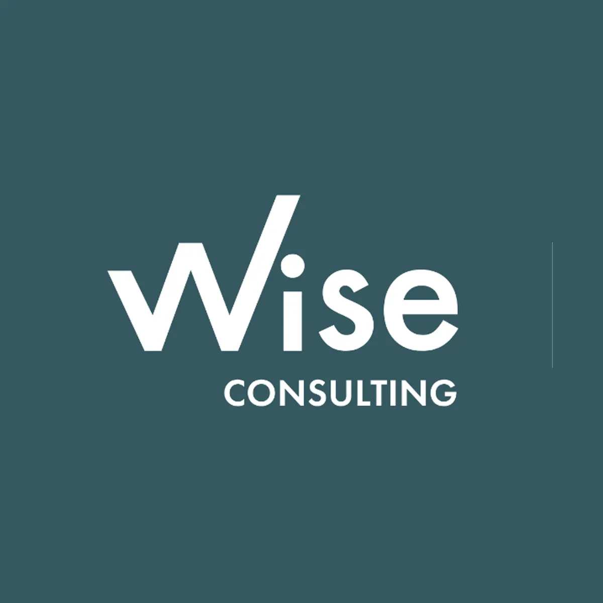 Rekryteringsföretag Wise Consulting